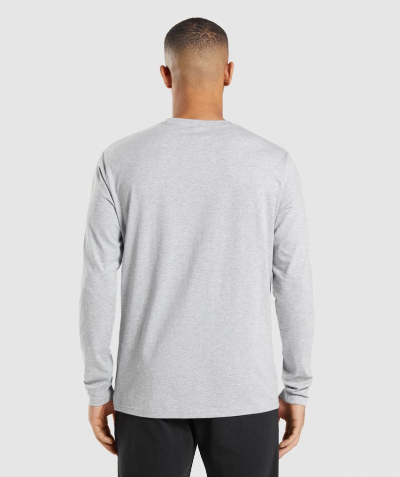 Men's Gymshark Crest Long Sleeve T-Shirts Light Grey | CA 67A531